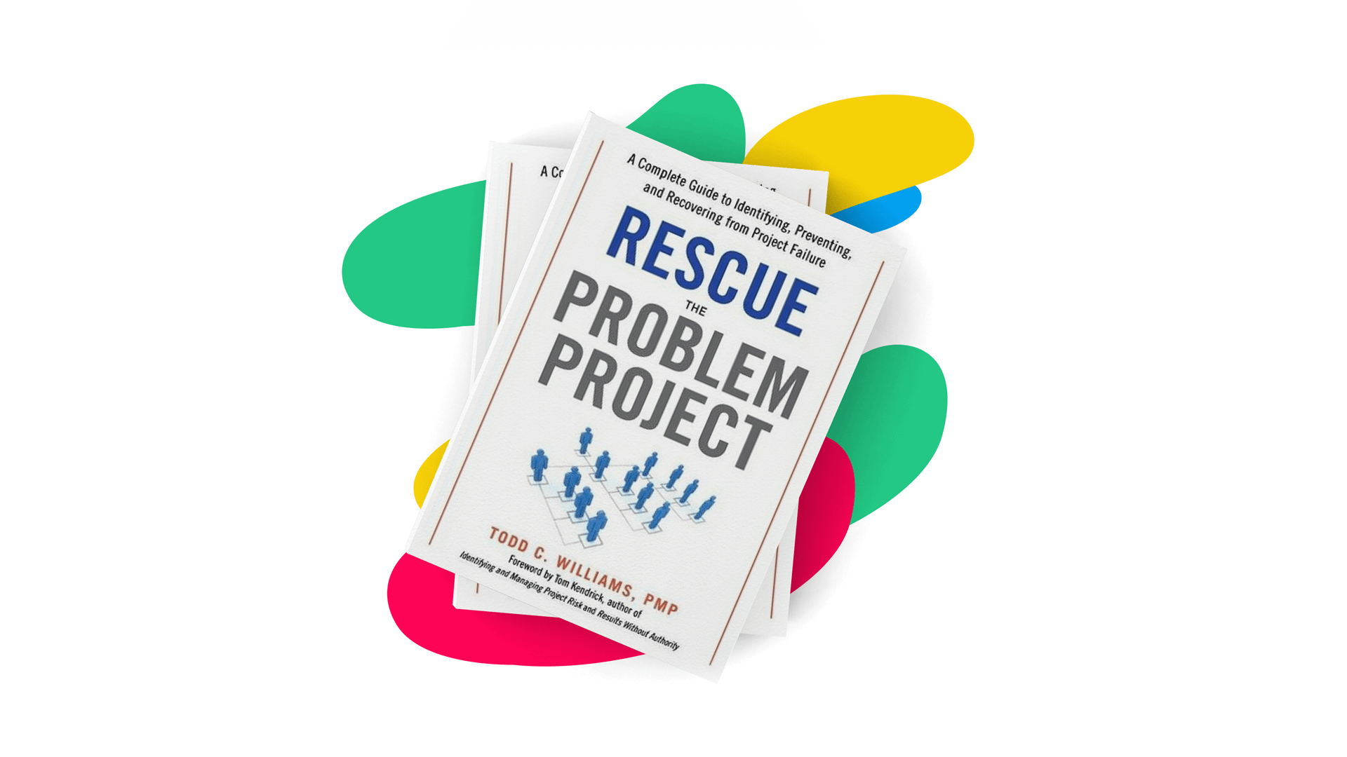 Best Project Management Books: Rescue the Problem Project